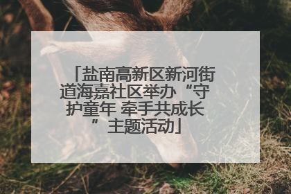 盐南高新区新河街道海嘉社区举办“守护童年 牵手共成长”主题活动
