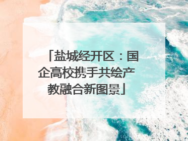 盐城经开区：国企高校携手共绘产教融合新图景