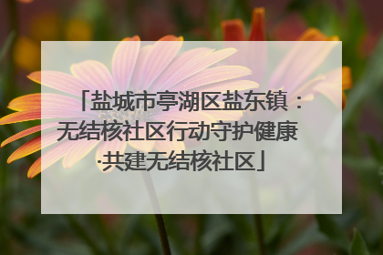 盐城市亭湖区盐东镇：无结核社区行动守护健康 ·共建无结核社区