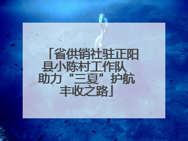 省供销社驻正阳县小陈村工作队 助力“三夏”护航丰收之路