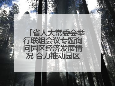 省人大常委会举行联组会议专题询问园区经济发展情况 合力推动园区经济高质量发展 王宁主持会议并讲话 王予波带队到会应询