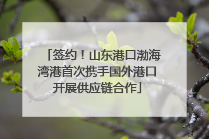 签约！山东港口渤海湾港首次携手国外港口开展供应链合作