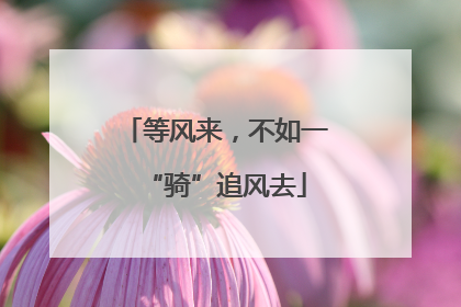 等风来，不如一“骑”追风去