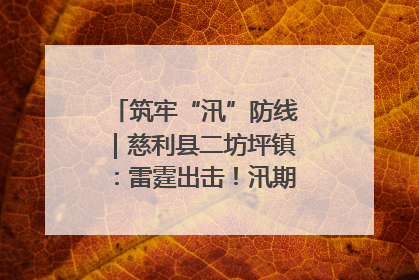 筑牢“汛”防线｜慈利县二坊坪镇：雷霆出击！汛期捕鱼被紧急叫停