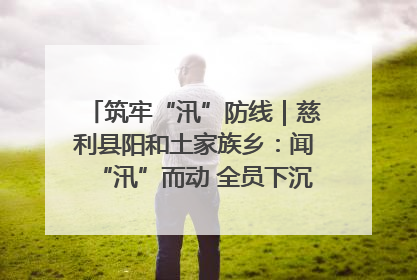 筑牢“汛”防线｜慈利县阳和土家族乡：闻“汛”而动 全员下沉筑牢防汛“安全堤”
