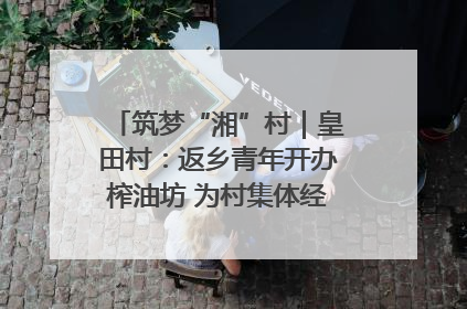 筑梦“湘”村｜皇田村：返乡青年开办榨油坊 为村集体经济“加油”