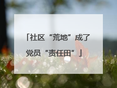 社区“荒地”成了党员“责任田”