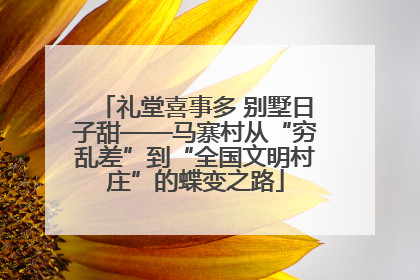 礼堂喜事多 别墅日子甜——马寨村从“穷乱差”到“全国文明村庄”的蝶变之路
