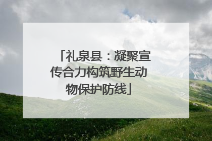 礼泉县：凝聚宣传合力构筑野生动物保护防线