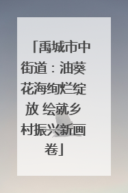 禹城市中街道：油葵花海绚烂绽放 绘就乡村振兴新画卷