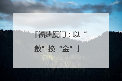 福建厦门：以“数”换“金”