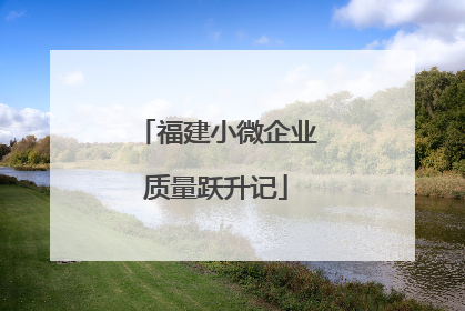 福建小微企业质量跃升记