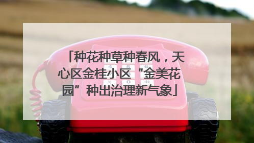 种花种草种春风，天心区金桂小区“金美花园”种出治理新气象
