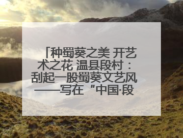 种蜀葵之美 开艺术之花 温县段村：刮起一股蜀葵文艺风——写在“中国·段村第三届蜀葵画展”开展之际