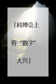科博会上看“数字”大兴