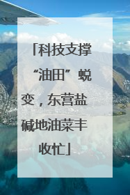 科技支撑“油田”蜕变，东营盐碱地油菜丰收忙
