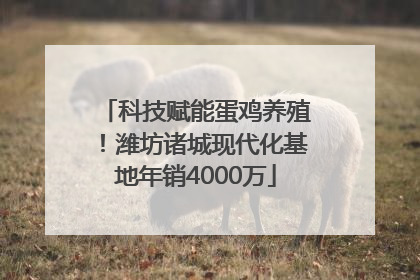 科技赋能蛋鸡养殖！潍坊诸城现代化基地年销4000万