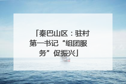秦巴山区：驻村第一书记“组团服务”促振兴