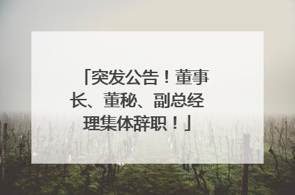 突发公告！董事长、董秘、副总经理集体辞职！