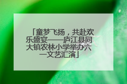 童梦飞扬，共赴欢乐盛宴——庐江县同大镇农林小学举办六一文艺汇演