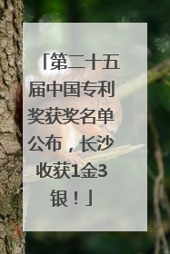 第二十五届中国专利奖获奖名单公布，长沙收获1金3银！