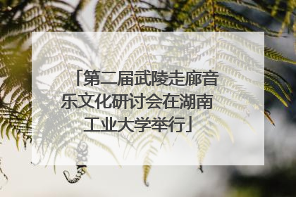 第二届武陵走廊音乐文化研讨会在湖南工业大学举行