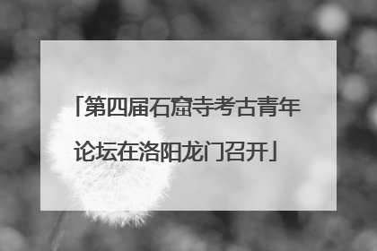 第四届石窟寺考古青年论坛在洛阳龙门召开