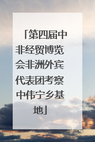 第四届中非经贸博览会非洲外宾代表团考察中伟宁乡基地