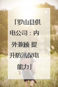 罗山县供电公司：内外兼顾 提升防汛保电能力
