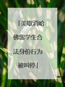 美取消哈佛留学生合法身份行为被叫停