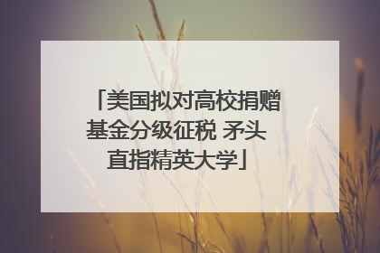 美国拟对高校捐赠基金分级征税 矛头直指精英大学