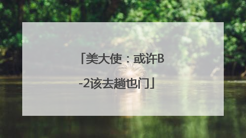 美大使：或许B-2该去趟也门