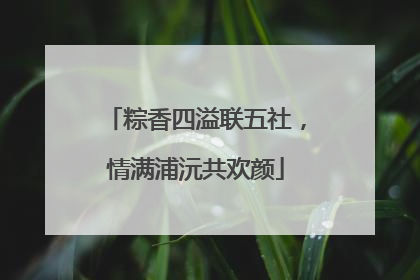 粽香四溢联五社，情满浦沅共欢颜
