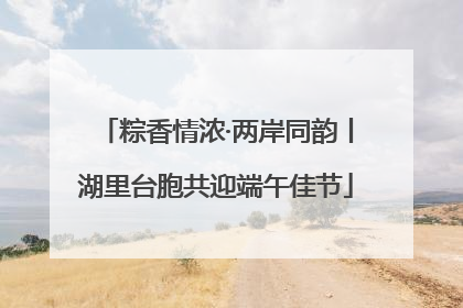 粽香情浓·两岸同韵丨湖里台胞共迎端午佳节