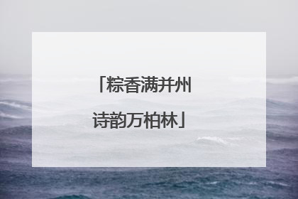 粽香满并州 诗韵万柏林