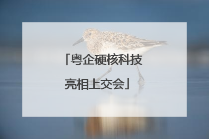 粤企硬核科技亮相上交会