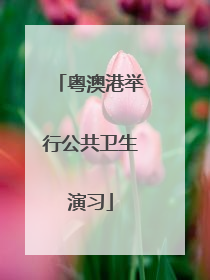粤澳港举行公共卫生演习