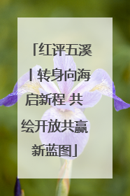 红评五溪丨转身向海启新程 共绘开放共赢新蓝图