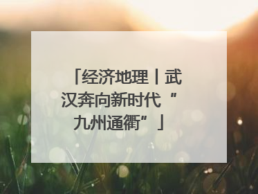 经济地理丨武汉奔向新时代“九州通衢”