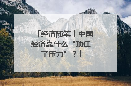 经济随笔丨中国经济靠什么“顶住了压力”？