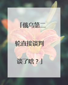 俄乌第二轮直接谈判谈了啥？
