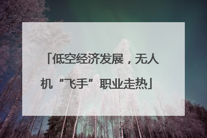 低空经济发展，无人机“飞手”职业走热