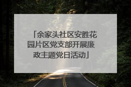 余家头社区安胜花园片区党支部开展廉政主题党日活动