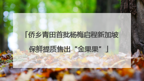 侨乡青田首批杨梅启程新加坡 保鲜提质售出“金果果”