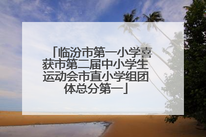 临汾市第一小学喜获市第二届中小学生运动会市直小学组团体总分第一