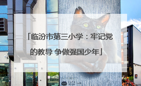 临汾市第三小学：牢记党的教导 争做强国少年