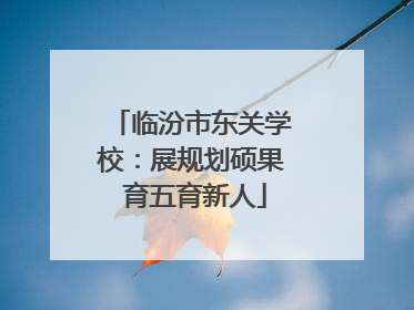 临汾市东关学校：展规划硕果 育五育新人