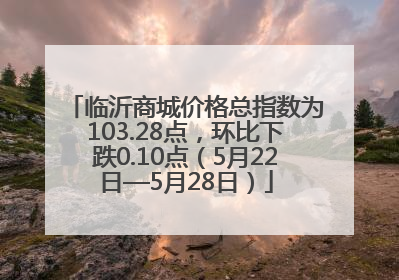 临沂商城价格总指数为103.28点，环比下跌0.10点（5月22日—5月28日）