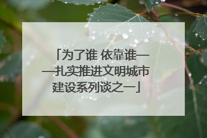 为了谁 依靠谁——扎实推进文明城市建设系列谈之一