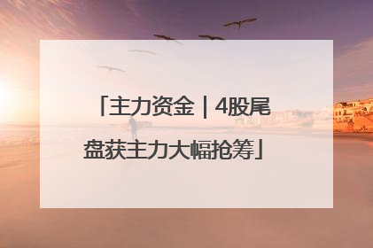 主力资金｜4股尾盘获主力大幅抢筹